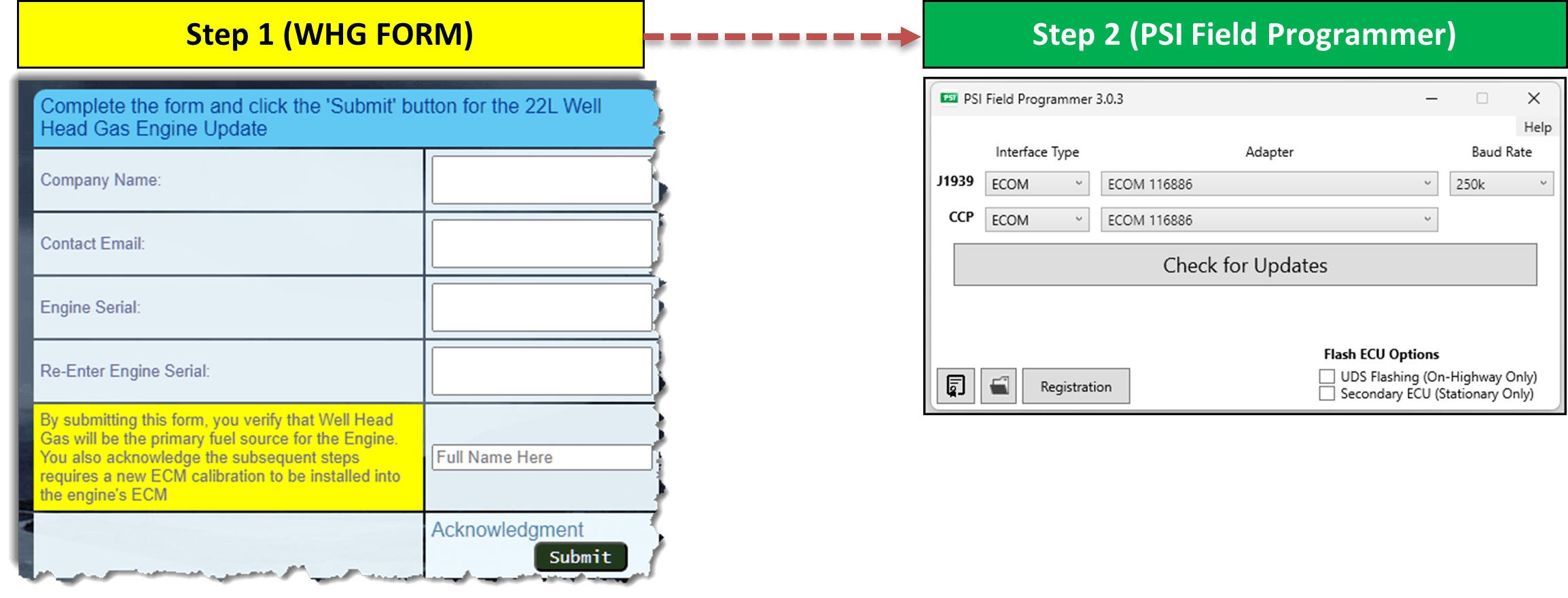 Diagram showing Step 1 (WHG Form) leading to Step 2 (PSI Field Programmer)