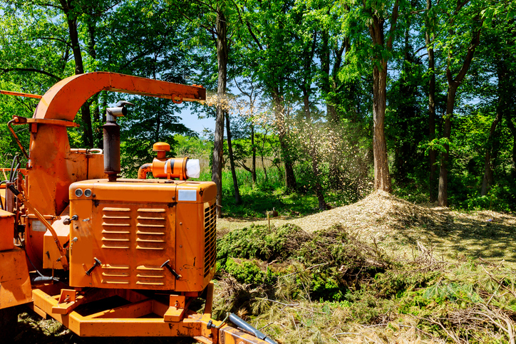 Tree Care